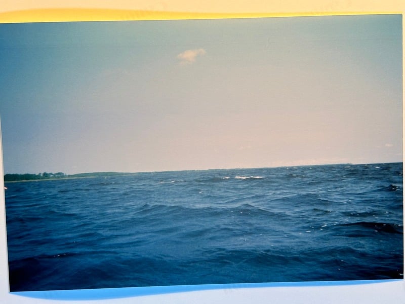 Tuscarora/Moon — 217