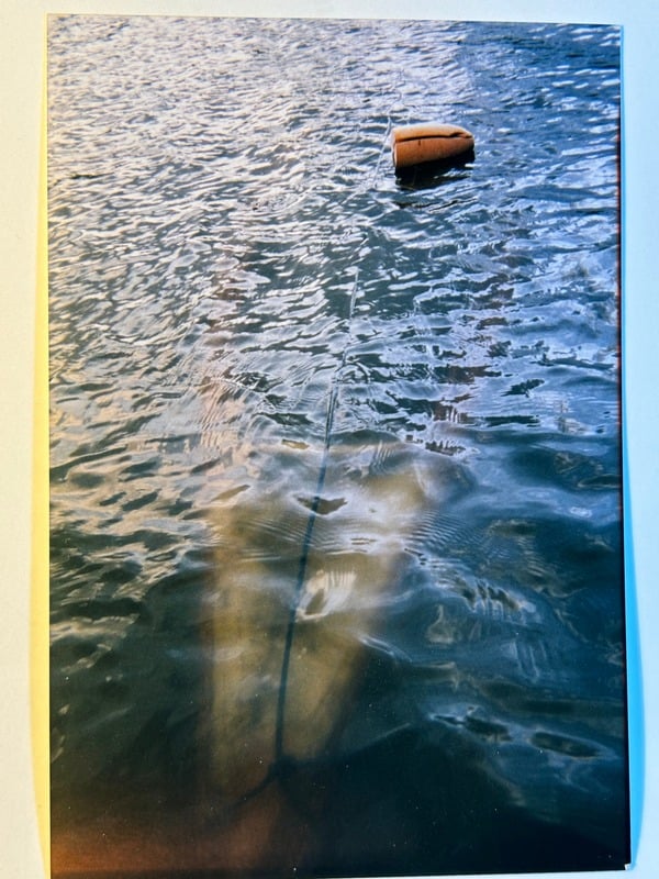 Tuscarora/Moon — 224