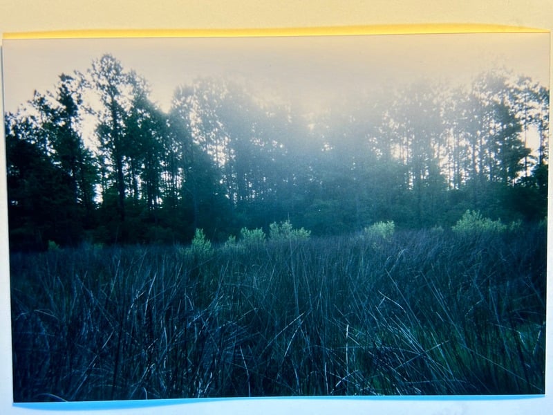 Tuscarora/Moon — 227