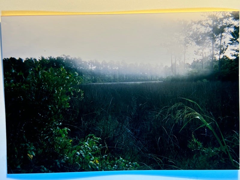 Tuscarora/Moon — 228