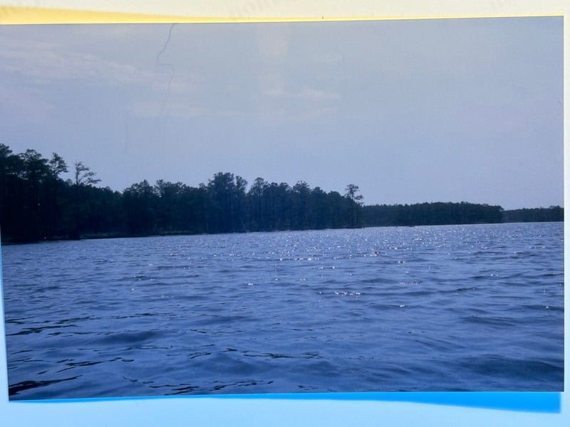 Resurrection Nine Months Later — 3