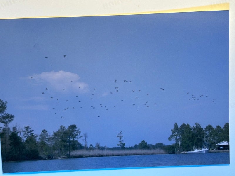 Resurrection Nine Months Later — 4