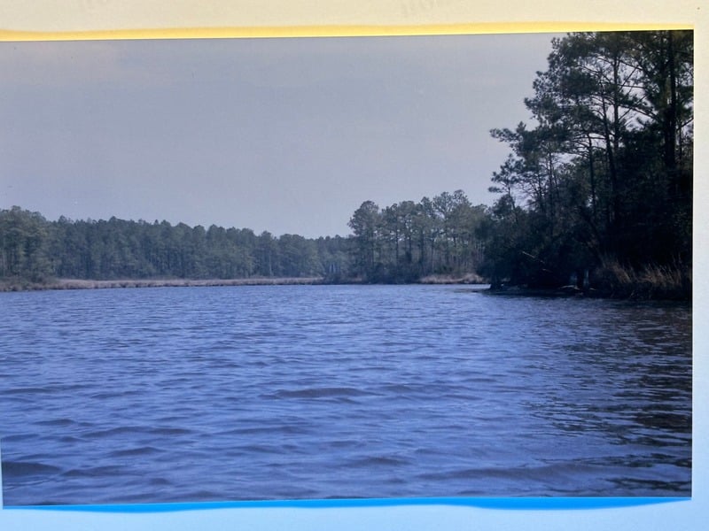 Resurrection Nine Months Later — 6