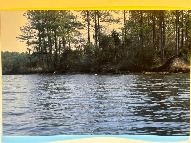 Resurrection Nine Months Later — 7