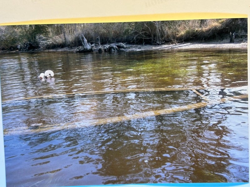 Resurrection Nine Months Later — 8