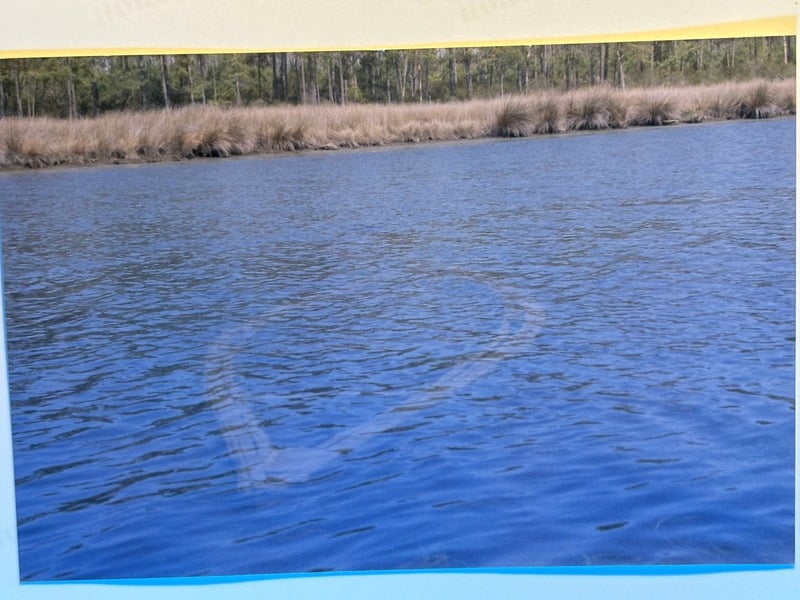 Resurrection Nine Months Later — 10