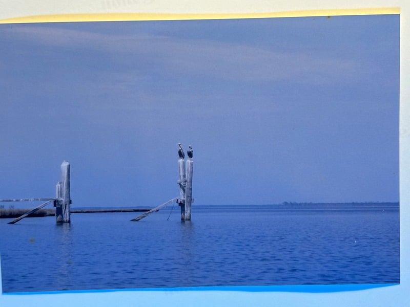 Resurrection Nine Months Later — 18