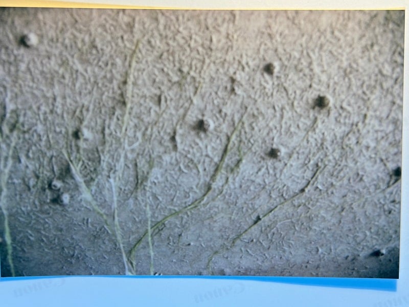 Resurrection Nine Months Later — 37