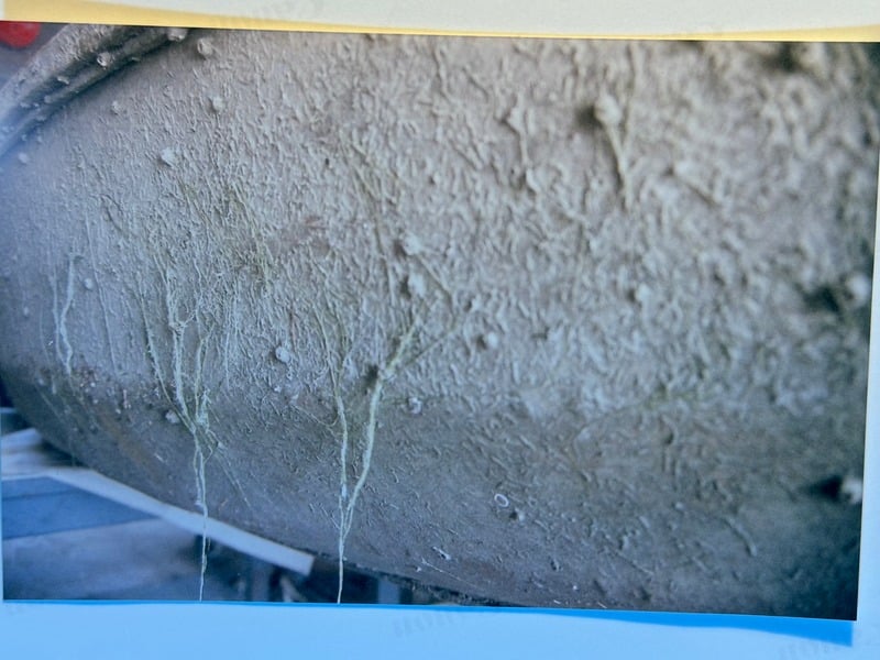 Resurrection Nine Months Later — 38