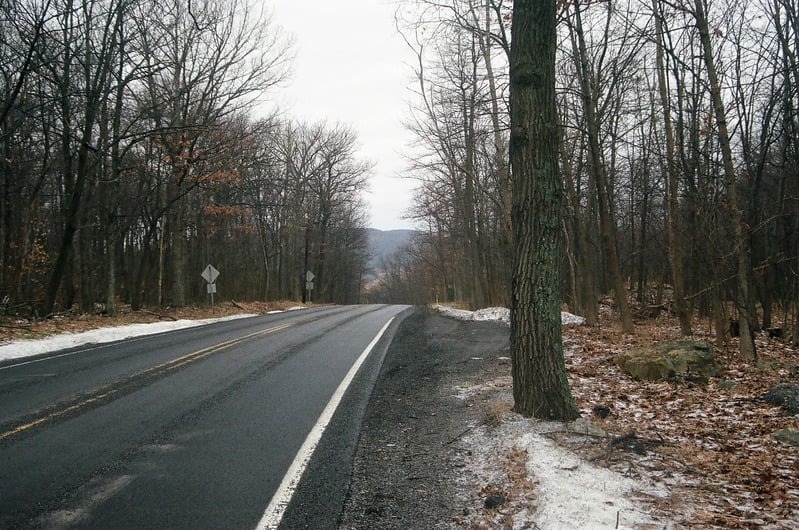 Venus of Tularosa — 4