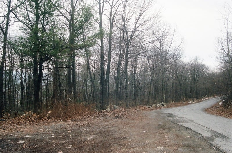 Venus of Tularosa — 5