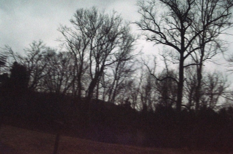 Lost Roll of Film of The Great Serpent Mound — 2