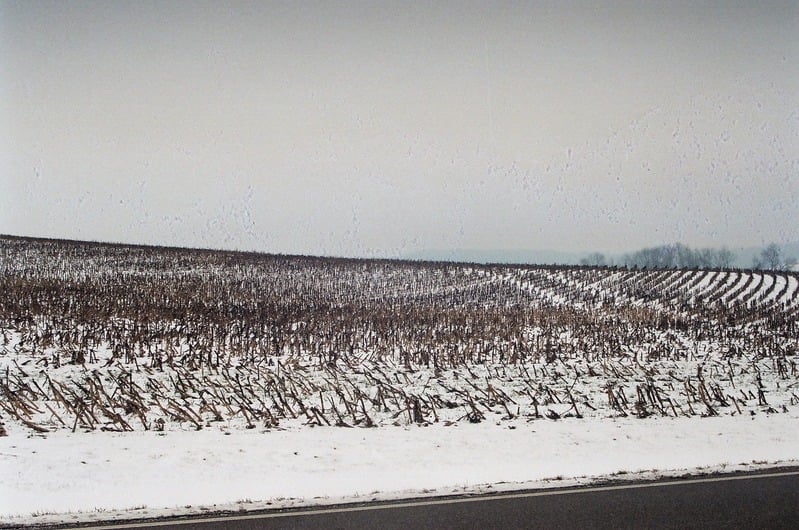 Lost Roll of Film of The Great Serpent Mound — 11