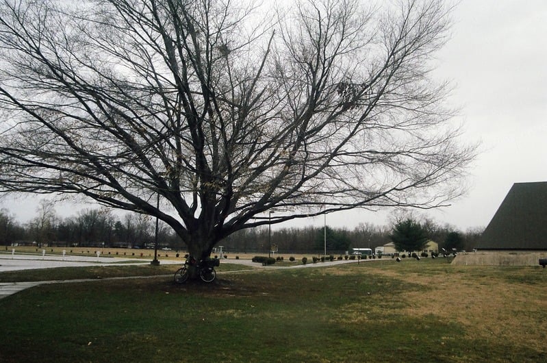 Lost Roll of Film of The Great Serpent Mound — 21
