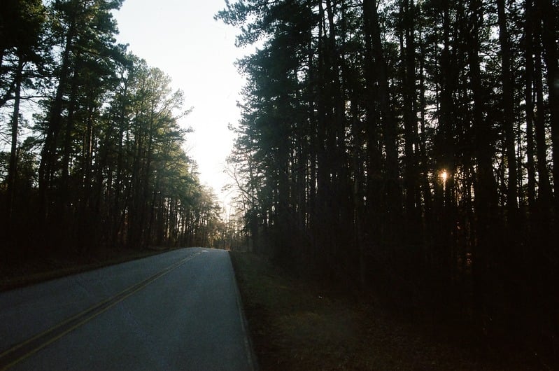 Lost Roll of Film of The Great Serpent Mound — 28