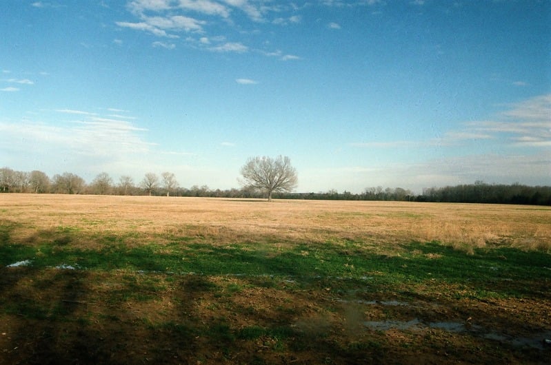 Lost Roll of Film of The Great Serpent Mound — 62