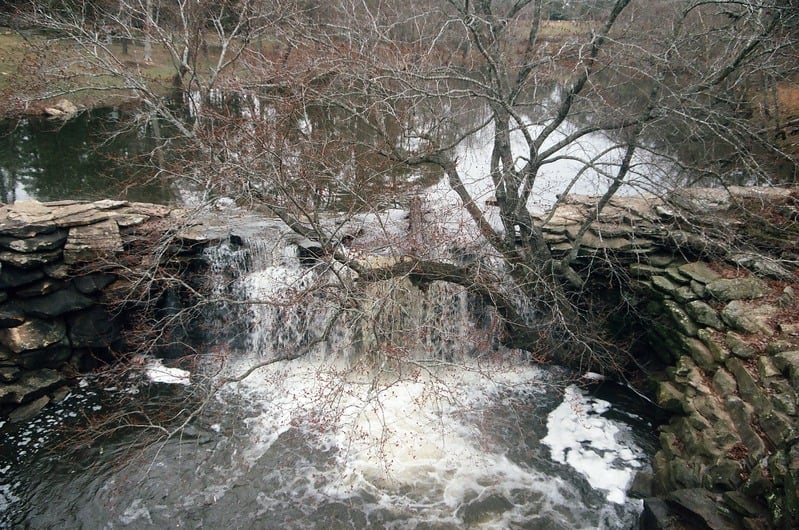 Lost Roll of Film of The Great Serpent Mound — 69