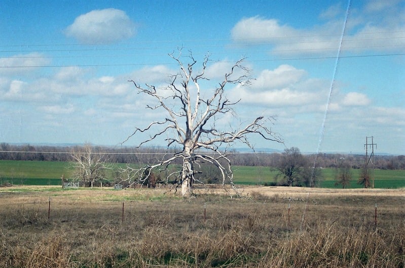 Lost Roll of Film of The Great Serpent Mound — 74