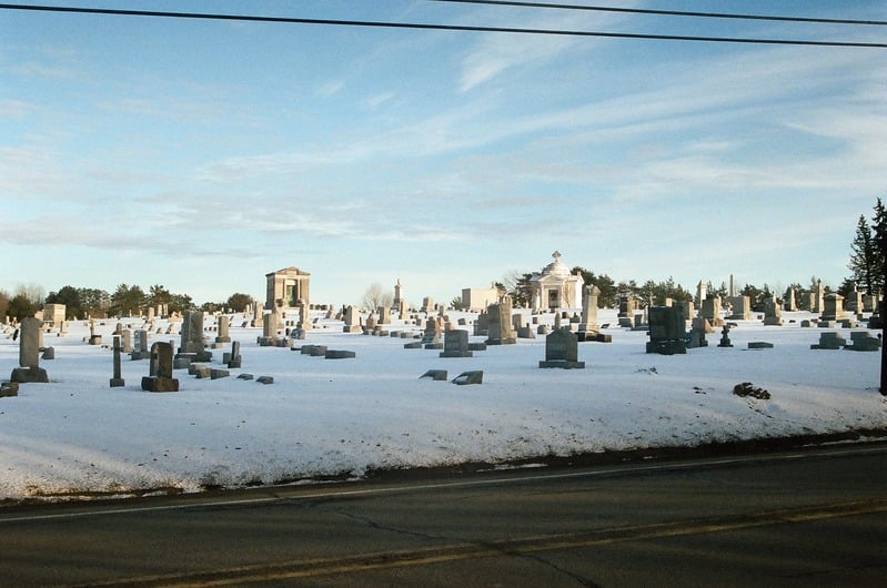 Venus of Tularosa — 15