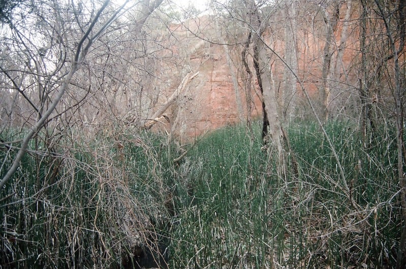 The Castration of Caelus at the Ephemeral Lake Lucero — 12