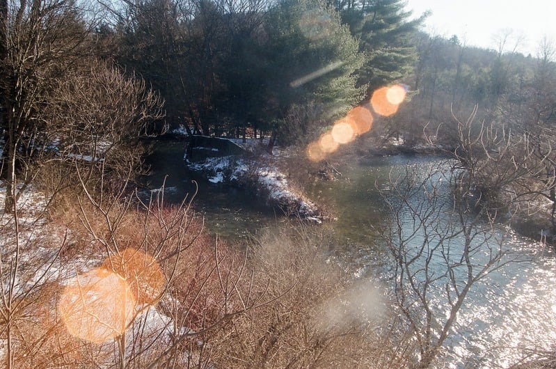 Venus of Tularosa — 17