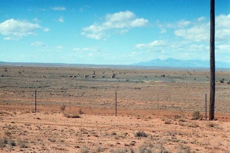 The Castration of Caelus at the Ephemeral Lake Lucero — 51
