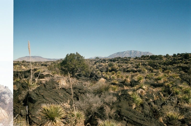 The Castration of Caelus at the Ephemeral Lake Lucero — 60