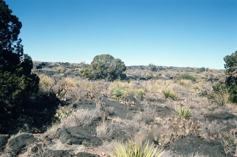 The Castration of Caelus at the Ephemeral Lake Lucero — 61