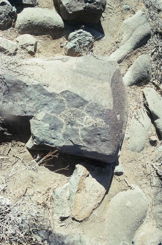 The Castration of Caelus at the Ephemeral Lake Lucero — 68