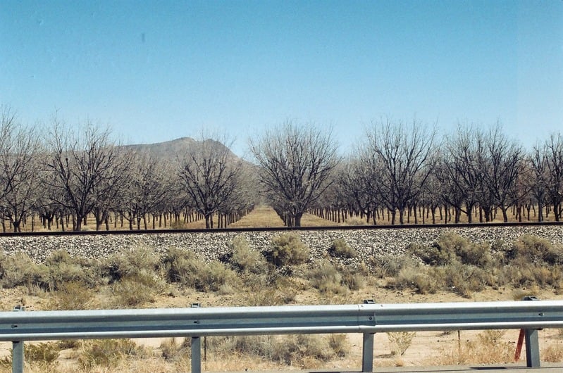 The Castration of Caelus at the Ephemeral Lake Lucero — 80