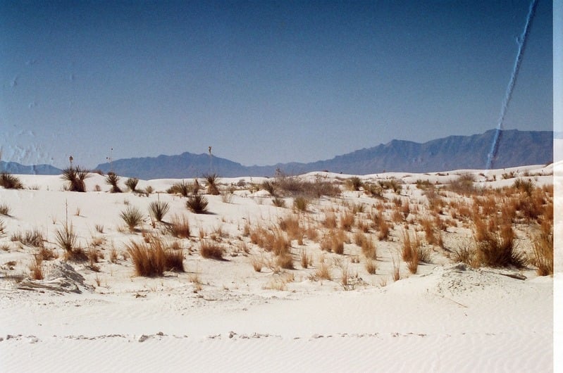 The Castration of Caelus at the Ephemeral Lake Lucero — 81
