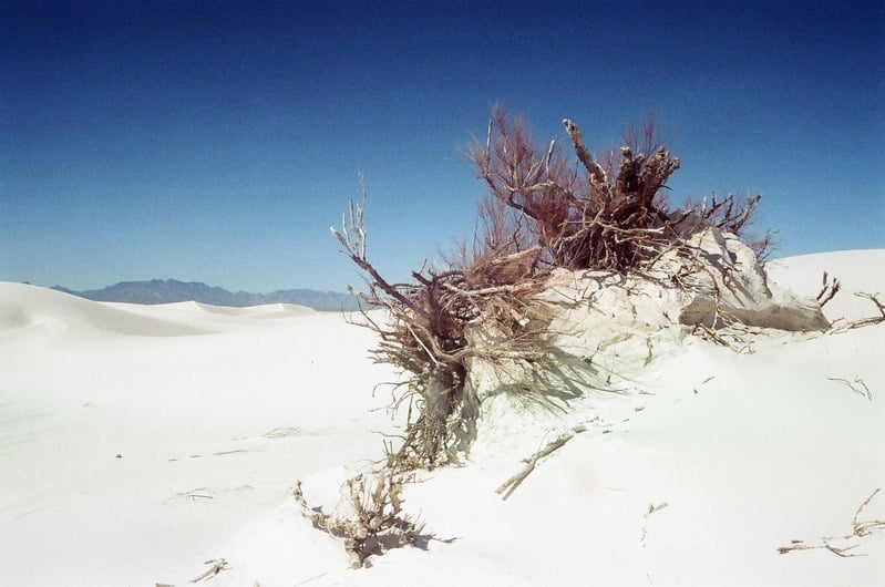 The Castration of Caelus at the Ephemeral Lake Lucero — 83