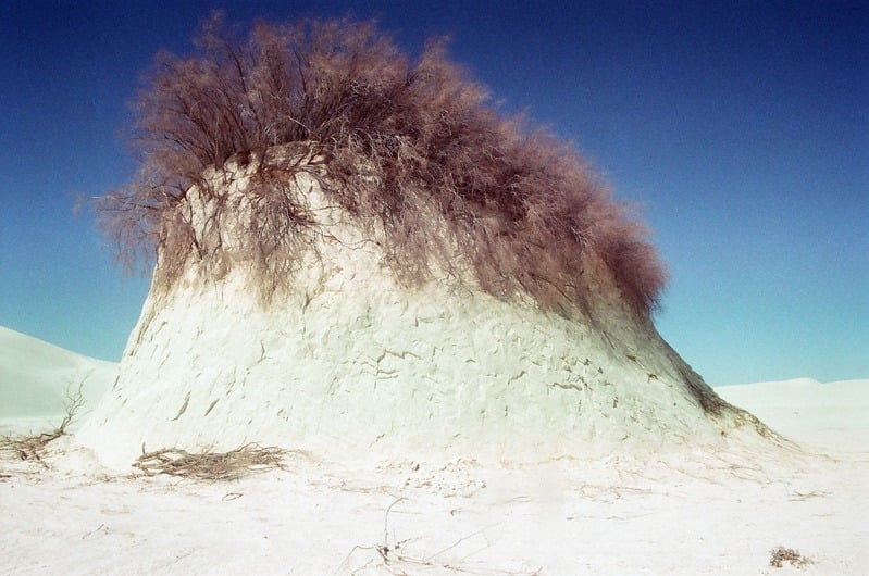 The Castration of Caelus at the Ephemeral Lake Lucero — 86