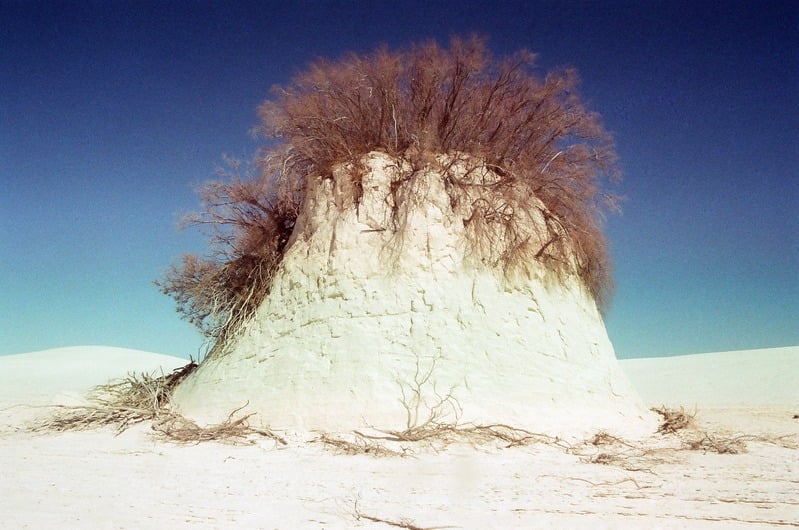 The Castration of Caelus at the Ephemeral Lake Lucero — 87