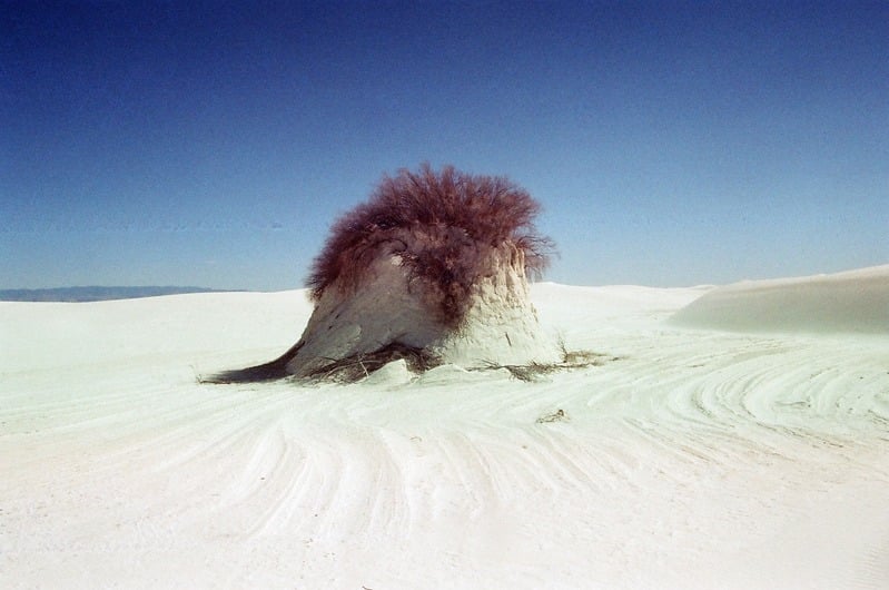 The Castration of Caelus at the Ephemeral Lake Lucero — 88