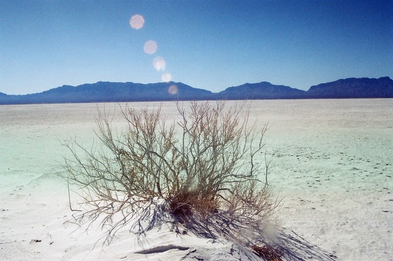 The Castration of Caelus at the Ephemeral Lake Lucero — 89