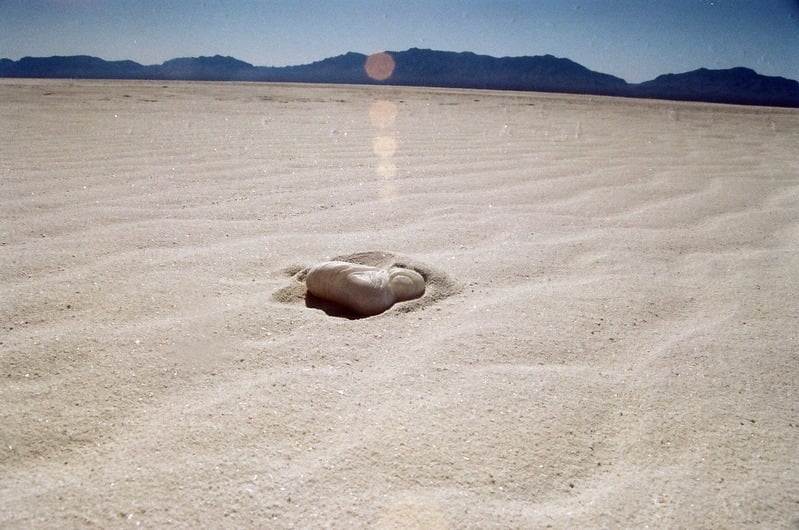The Castration of Caelus at the Ephemeral Lake Lucero — 91