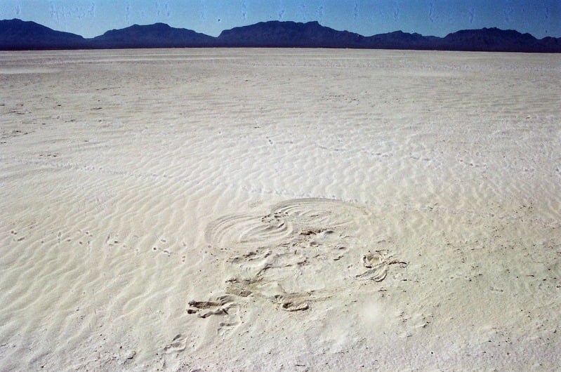 The Castration of Caelus at the Ephemeral Lake Lucero — 95