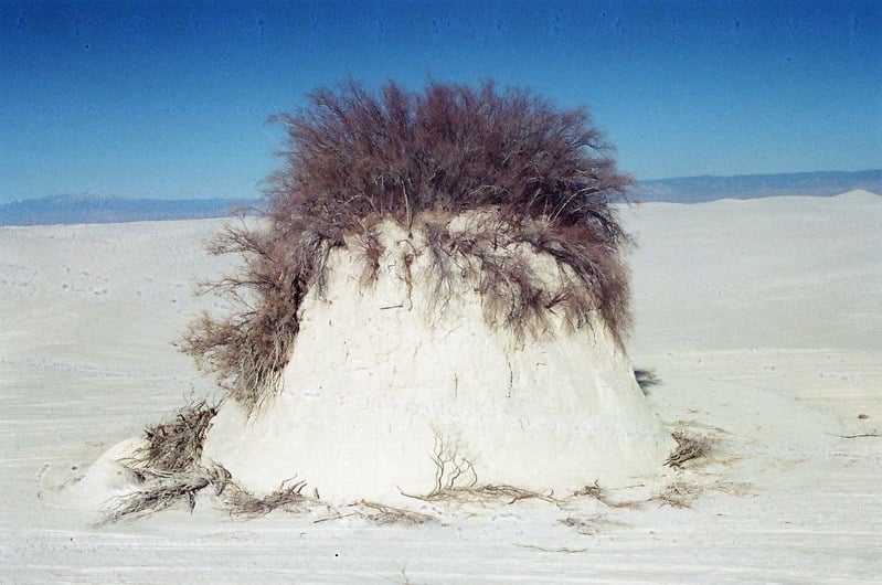The Castration of Caelus at the Ephemeral Lake Lucero — 96