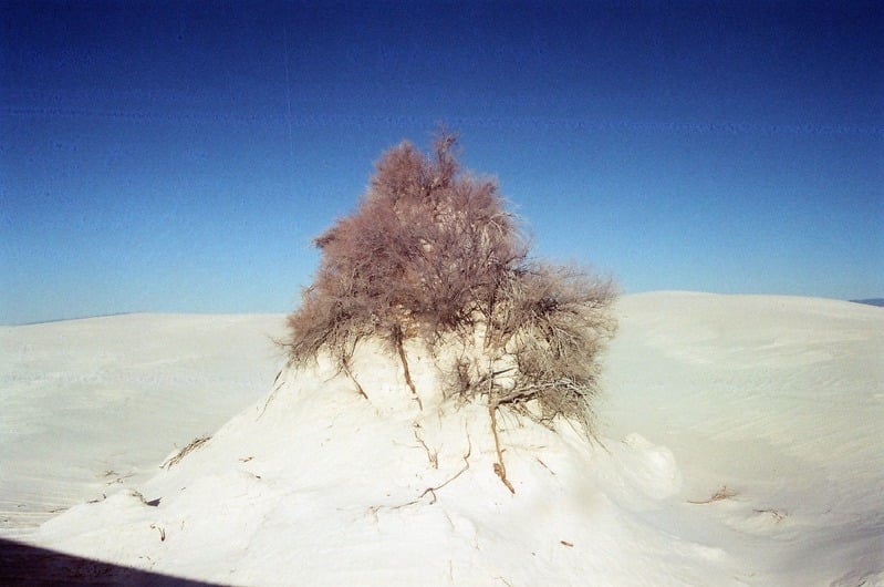 The Castration of Caelus at the Ephemeral Lake Lucero — 98