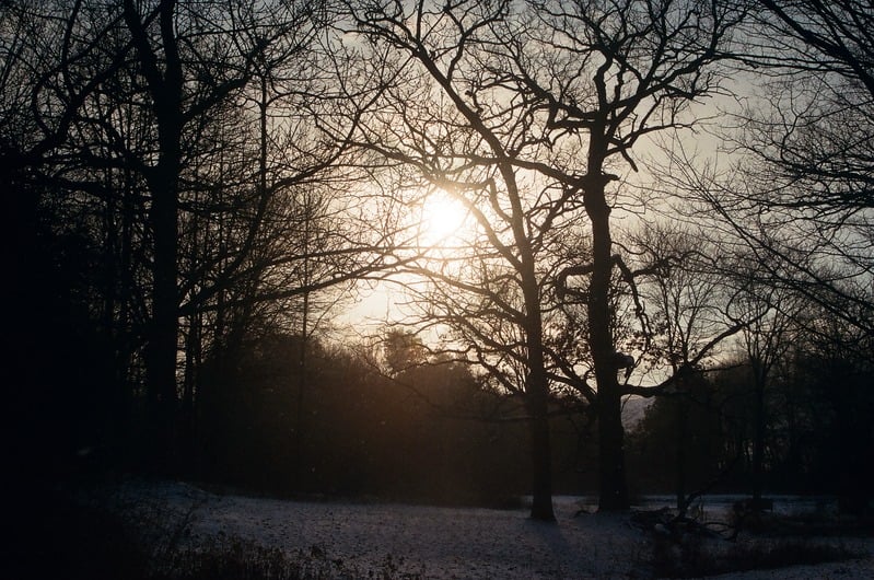 Venus of Tularosa — 26