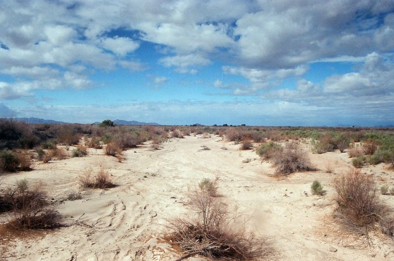 The Castration of Caelus at the Ephemeral Lake Lucero — 137