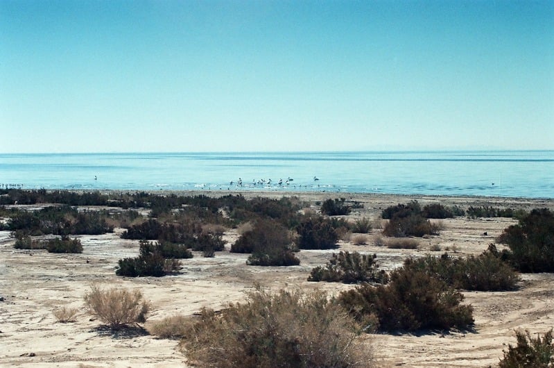 The Castration of Caelus at the Ephemeral Lake Lucero — 151
