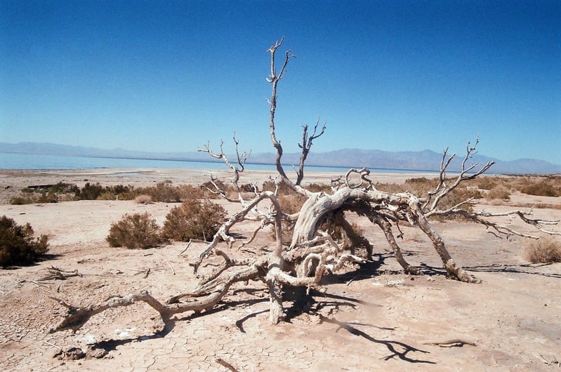 The Castration of Caelus at the Ephemeral Lake Lucero — 152