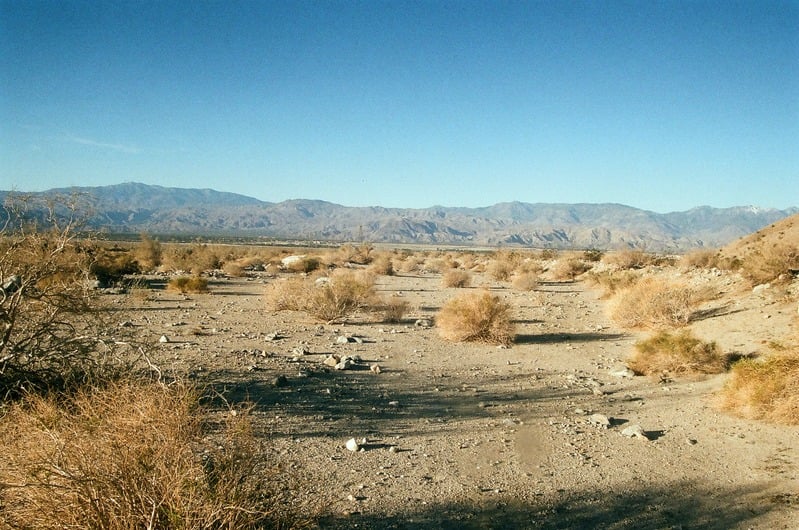 The Castration of Caelus at the Ephemeral Lake Lucero — 154