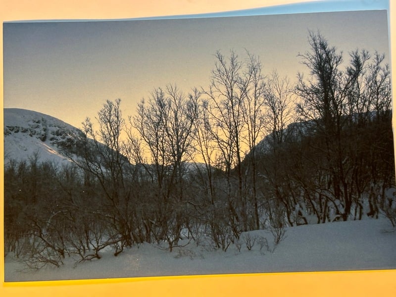Abisko — 14