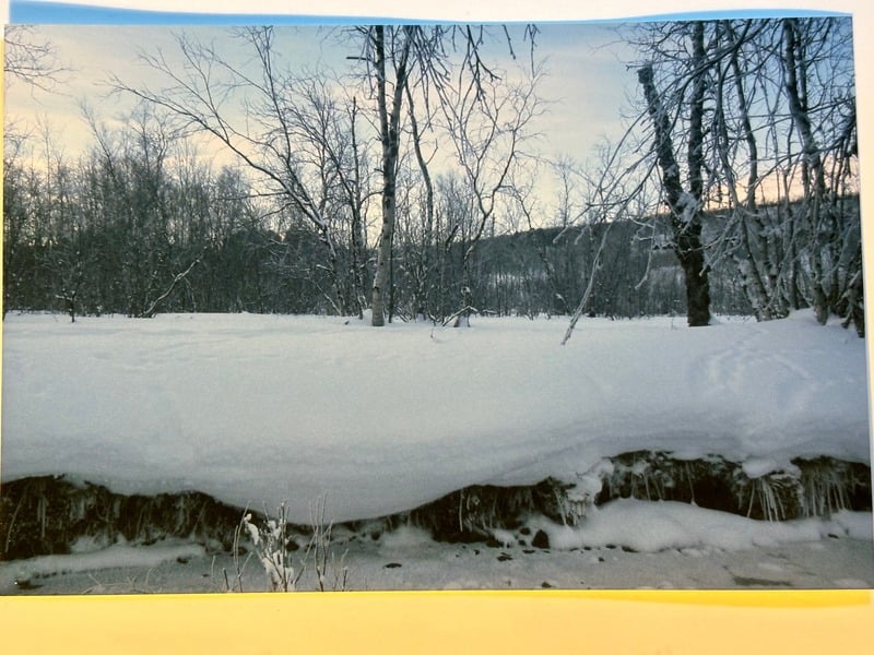 Abisko — 26