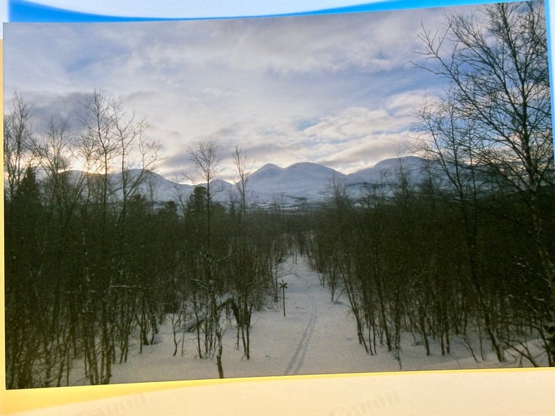 Abisko — 29