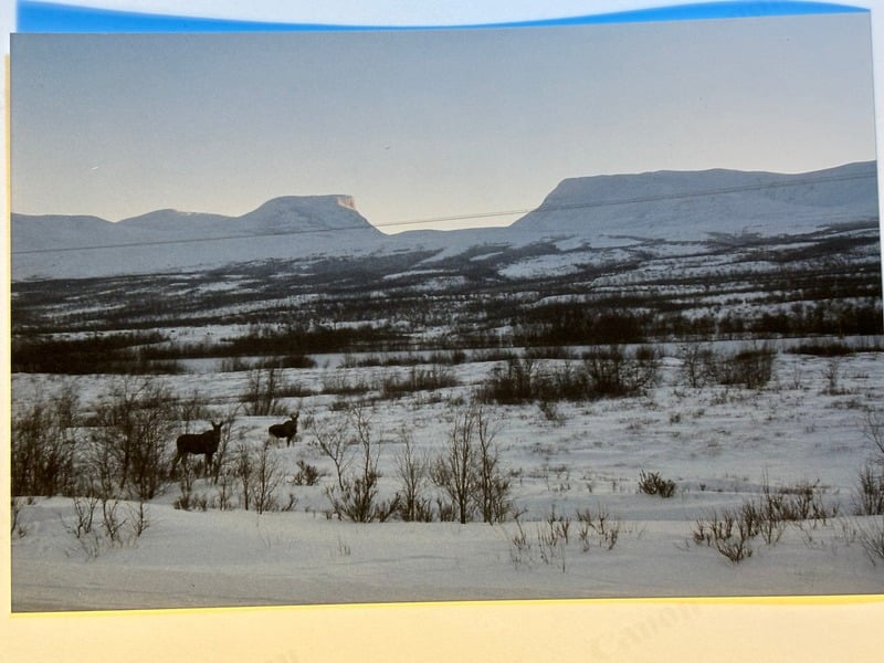 Abisko — 31