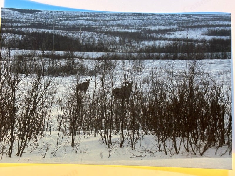 Abisko — 32